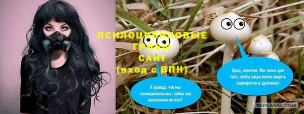2c-b Белокуриха