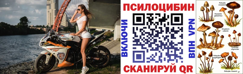 blacksprut ONION Новая Ляля Галлюциногенные грибы MAGIC MUSHROOMS