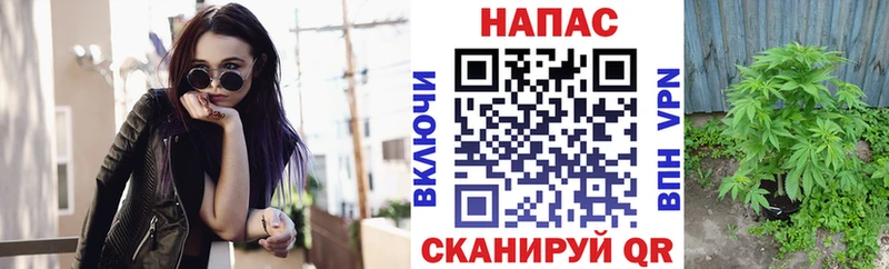 Шишки марихуана MAZAR  Новая Ляля 